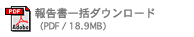 報告書一括ダウンロード（PDF / 18.9MB）